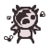 The Empty